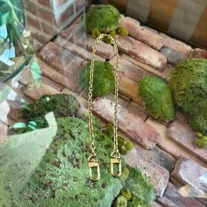 LOUIS VUITTON Gold Bag Chain